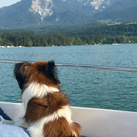 Fewos Wuzella Faaker * Latschach ober dem Faakersee